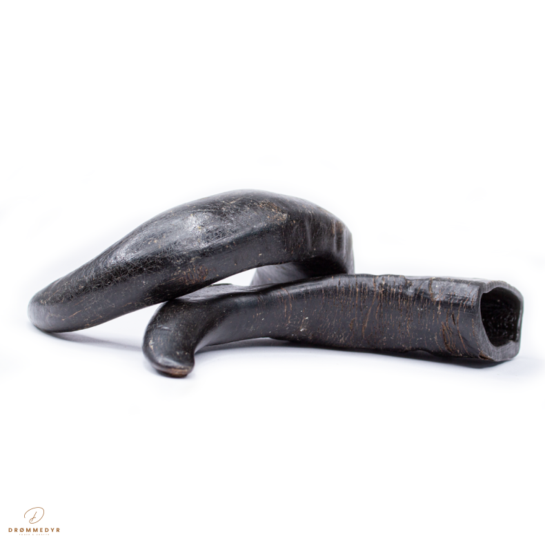 Snack'it Bffelhorn Medium