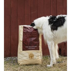 ESSENTIAL the BEGINNING LARGE BREED 10KG