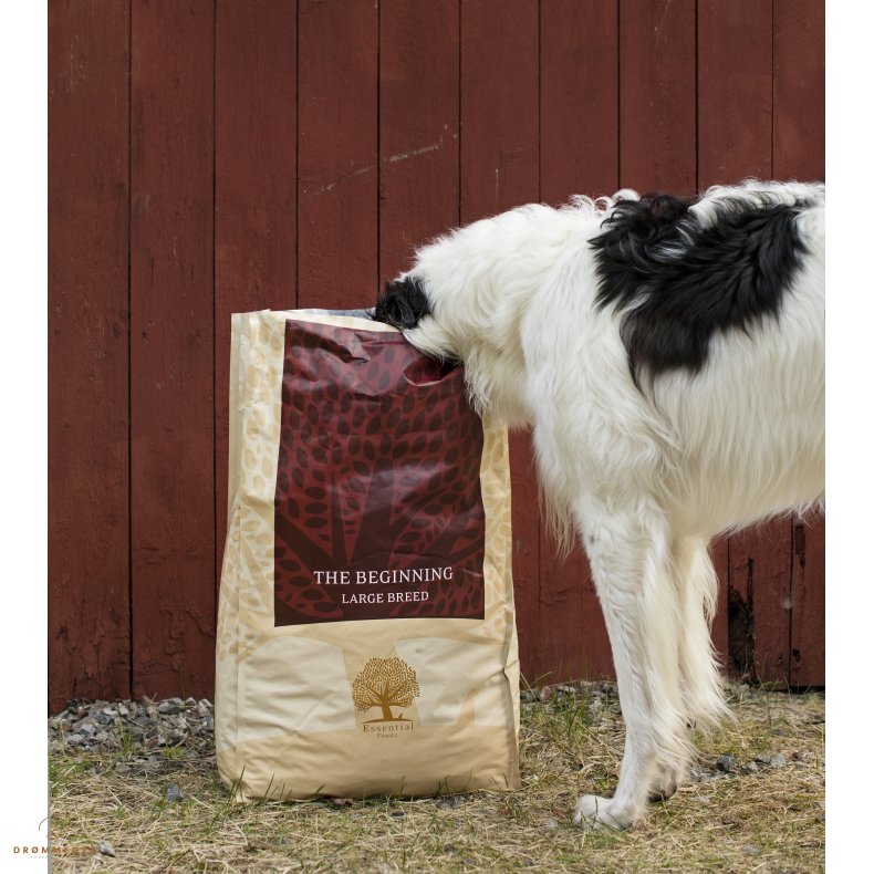 ESSENTIAL the BEGINNING LARGE BREED 10KG