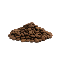 ESSENTIAL the BEGINNING LARGE BREED 10KG