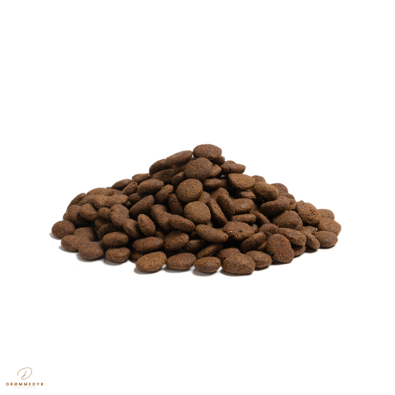 ESSENTIAL the BEGINNING LARGE BREED 10KG