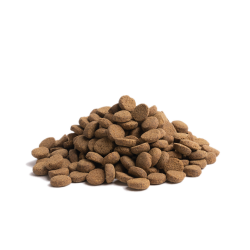 ESSENTIAL OLDER 10KG