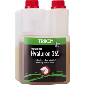 WorkingDog Hyaluron365 (500 ml)
