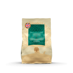 ESSENTIAL STAMINA 2.5KG