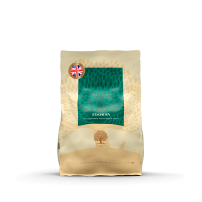 ESSENTIAL STAMINA 2.5KG