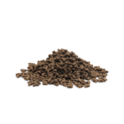 ESSENTIAL the LITTLE LION 3kg