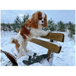 Green &amp; Wilds Colin the Crocodile