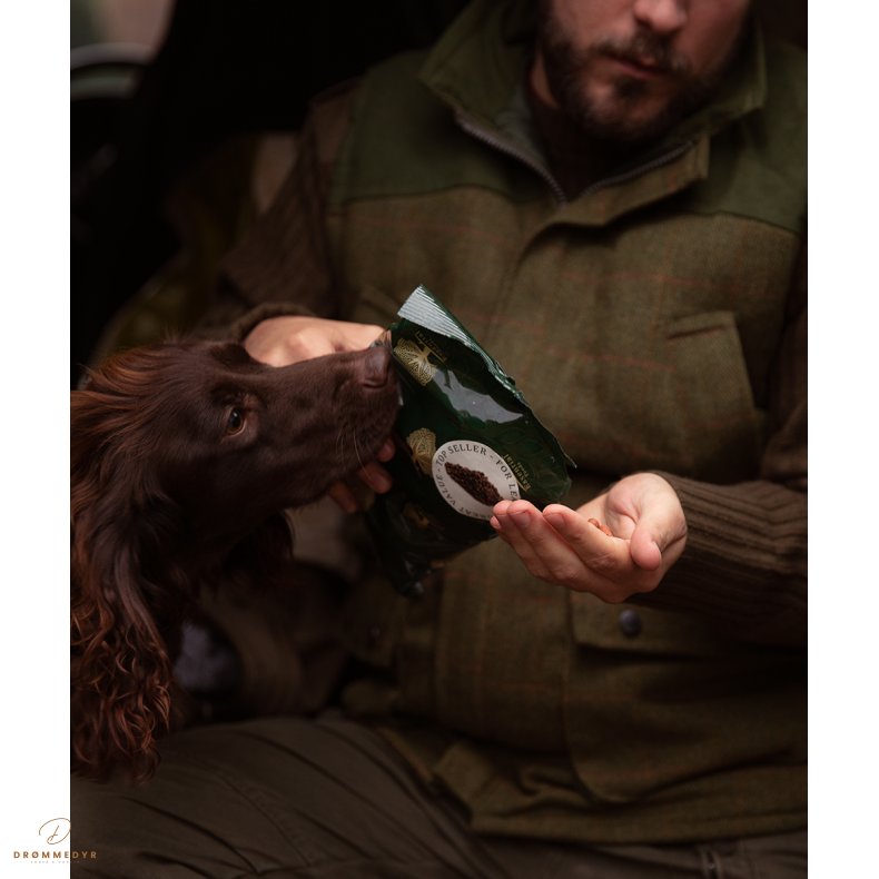 ESSENTIAL MOTIVATION DELIGHTS