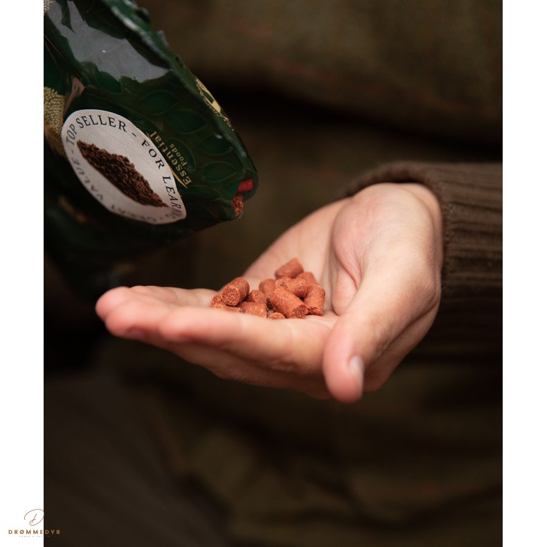 ESSENTIAL MOTIVATION DELIGHTS