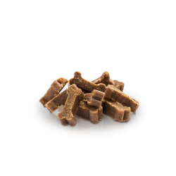 ESSENTIAL SALMON MINI DELIGHTS 100g