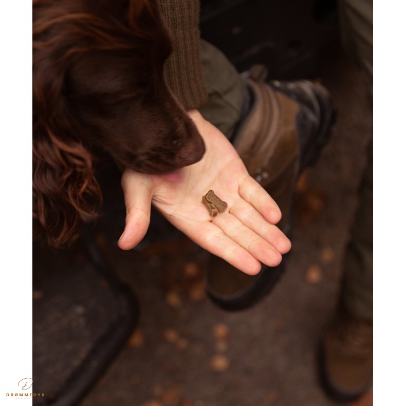 ESSENTIAL SALMON MINI DELIGHTS 100g