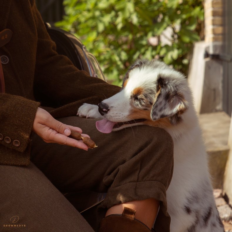 ESSENTIAL FINEST SALMON &amp; PARSLEY SMALL SAUSAGES 20stk