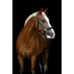 HG Diya Grime 2.0 grime Ponderosa Pine