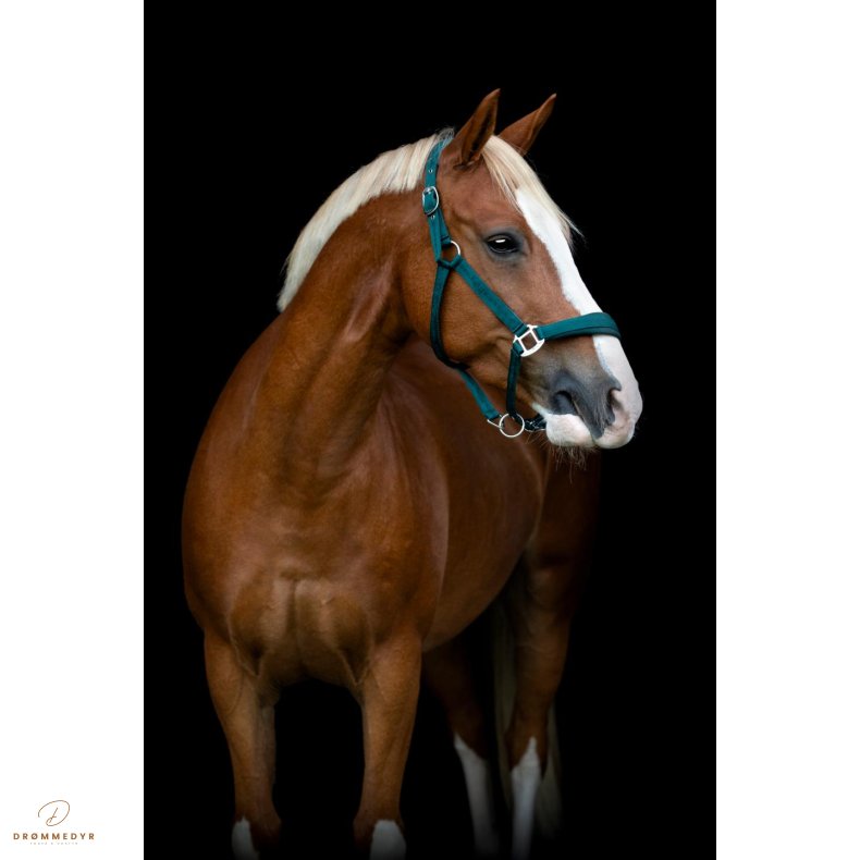 HG Diya Grime 2.0 grime Ponderosa Pine