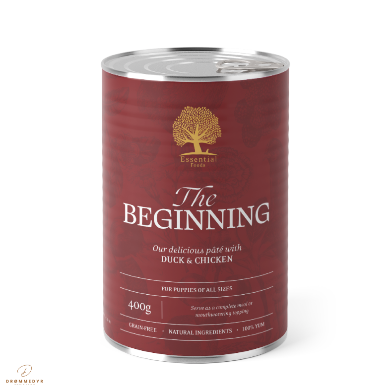 ESSENTIAL the BEGINNING PT 400G