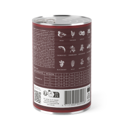 ESSENTIAL the BEGINNING PT 400G