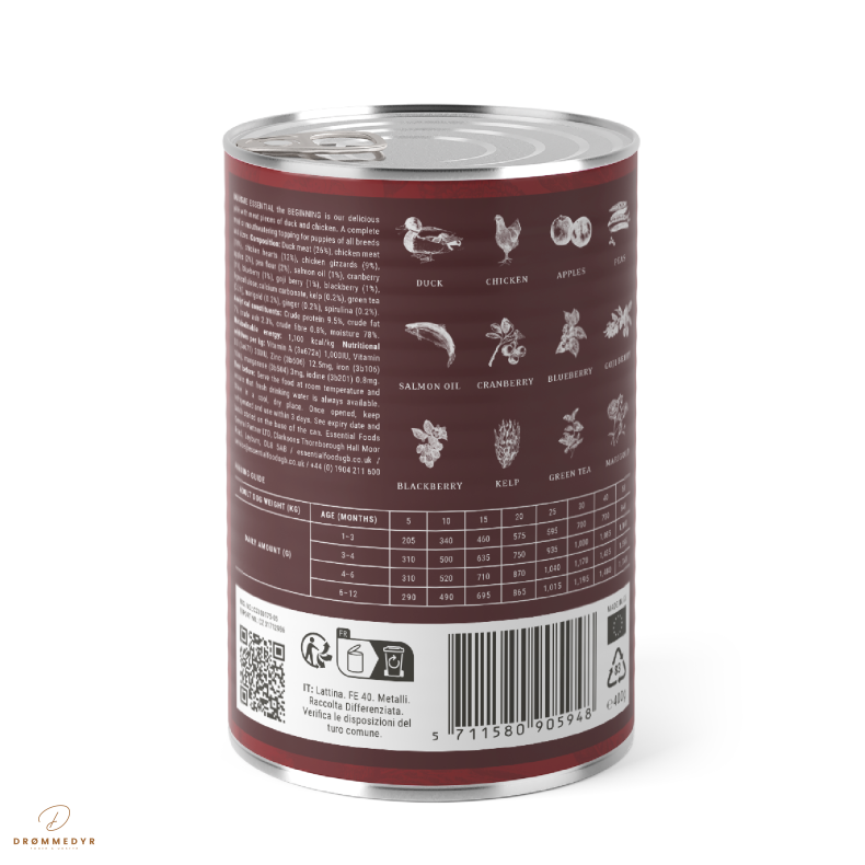 ESSENTIAL the BEGINNING PT 400G