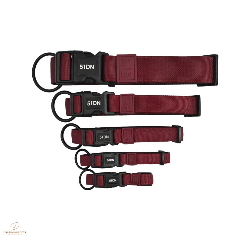 51 - Wanderful - Collar - Nylon - Flat - Burgundy