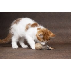 CT YUTSA FISH + BALL BROWN 15x4,5x2,5CM