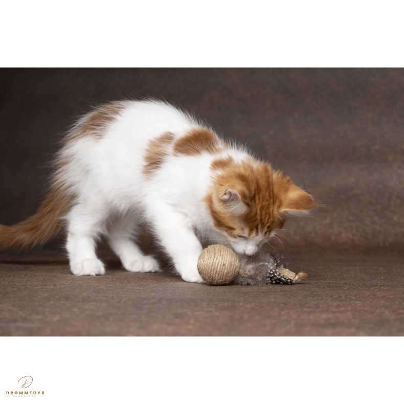 CT YUTSA FISH + BALL BROWN 15x4,5x2,5CM