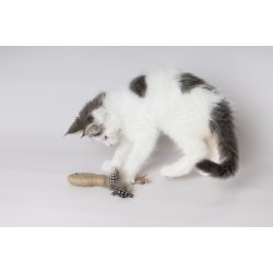 CT YUTSA FISH + BALL BROWN 15x4,5x2,5CM