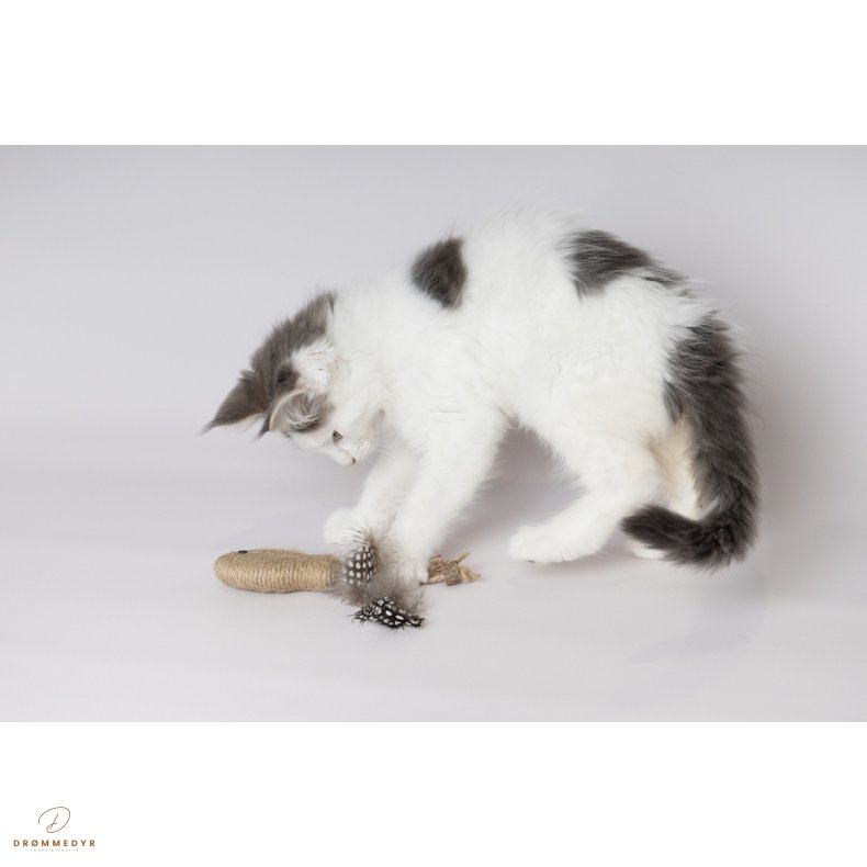 CT YUTSA FISH + BALL BROWN 15x4,5x2,5CM