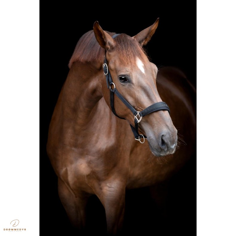 HG Diya 2.0 grime Sort