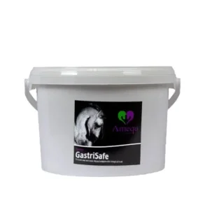 Amequ GastriSafe 2.8 kg