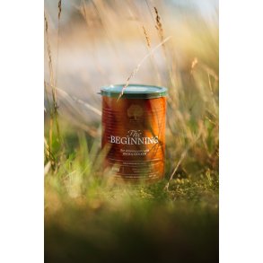 ESSENTIAL the BEGINNING PT 400G