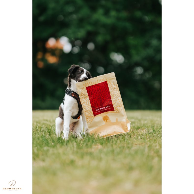 ESSENTIAL the BEGINNING Small Breed 2,5KG