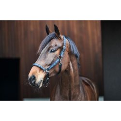 CATAGO Alea reflekterende logo grime Sort