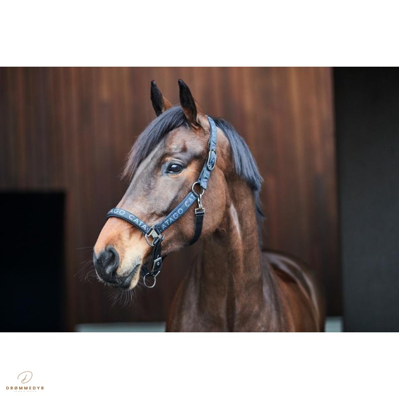 CATAGO Alea reflekterende logo grime Sort