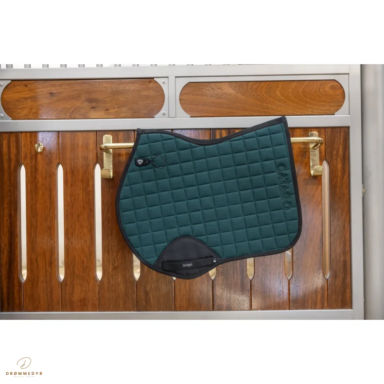 CATAGO FIR-Tech schabrack Ponderosa Pine JP17