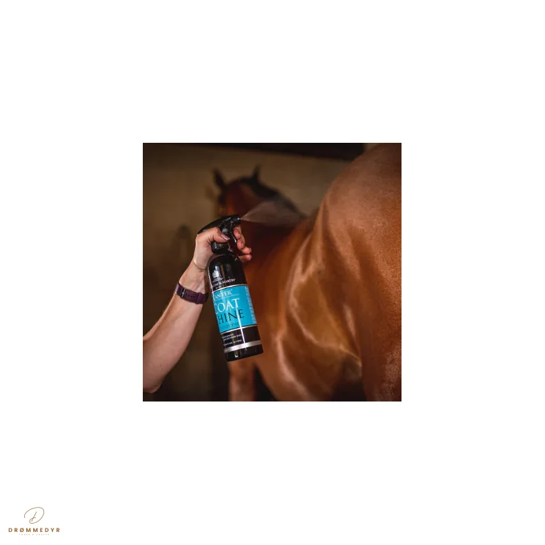 CDM Coat Shine 500 ML