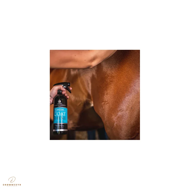 CDM Coat Shine 500 ML