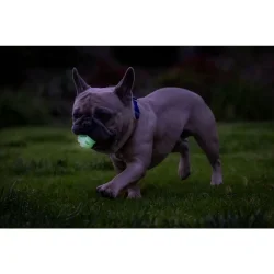 Chuckit! Air Glow Fetch Ball M (2-pack)