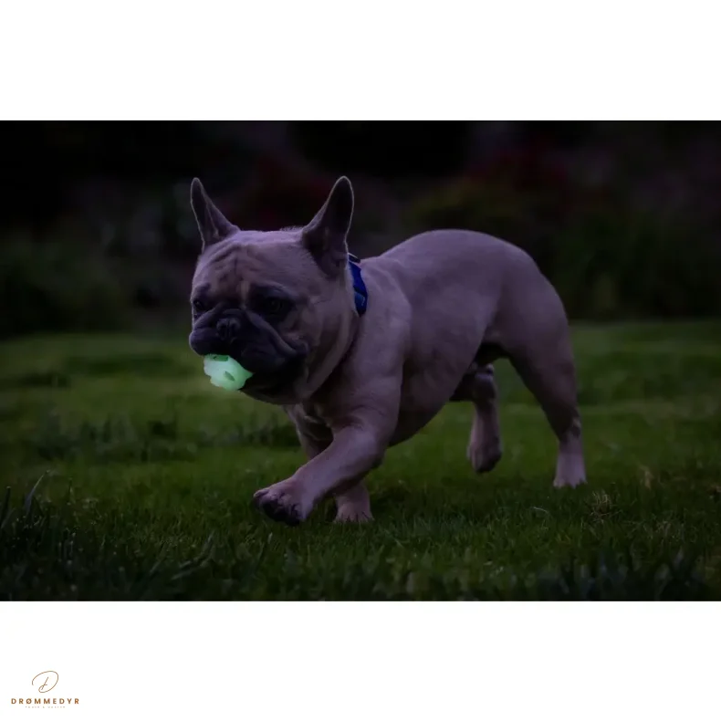 Chuckit! Air Glow Fetch Ball M (2-pack)