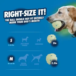 Chuckit! Air Glow Fetch Ball M (2-pack)