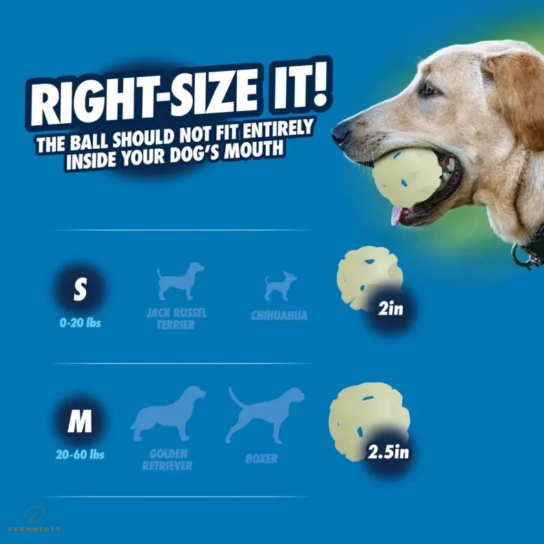 Chuckit! Air Glow Fetch Ball M (2-pack)