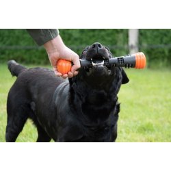 Dog Comets Meteor Throwing stick orange S