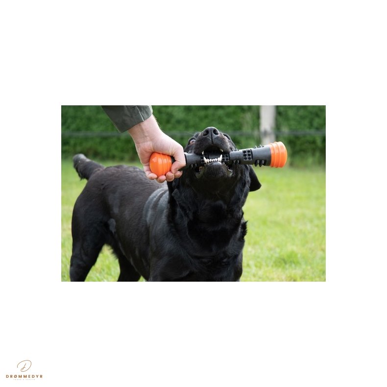 Dog Comets Meteor Throwing stick orange S
