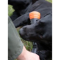 Dog Comets Meteor Throwing stick orange S
