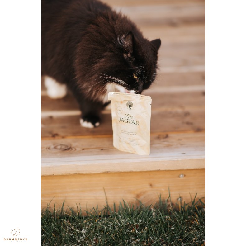 ESSENTIAL the JAGUAR PT 12x85g