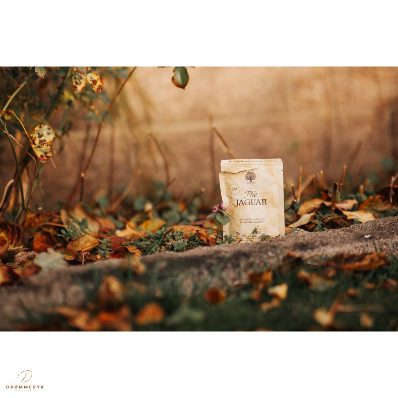 ESSENTIAL the JAGUAR PT 12x85g