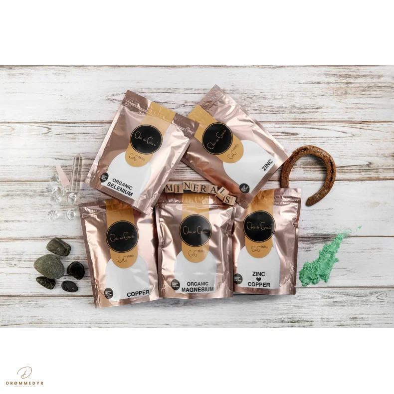 Chia De Gracia Zinc &amp; Copper Strong 500g