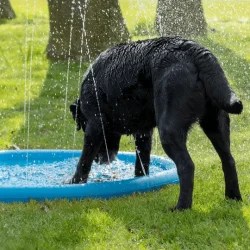 CoolPets Splash Sprinkler Pad 150cm