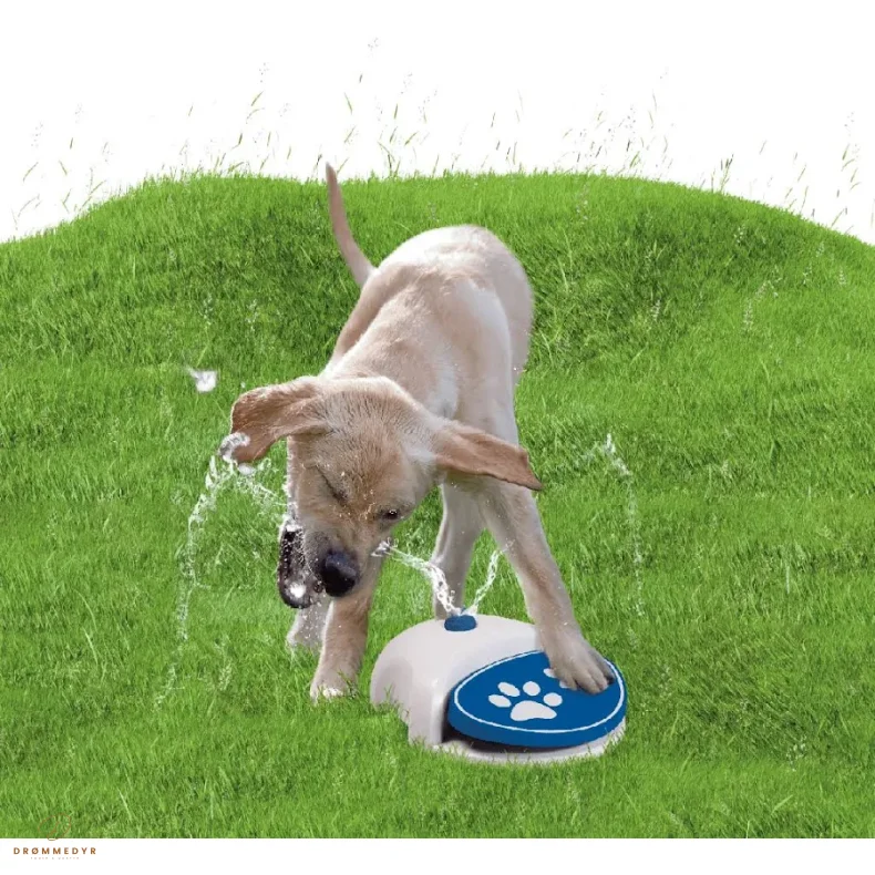 CoolPets Splash Water Fountain