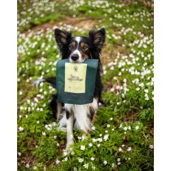 ESSENTIAL DUCK SENSATIONS