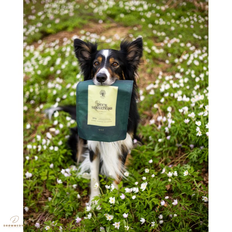 ESSENTIAL DUCK SENSATIONS