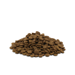 ESSENTIAL ETERNAL LIVING 2.5KG